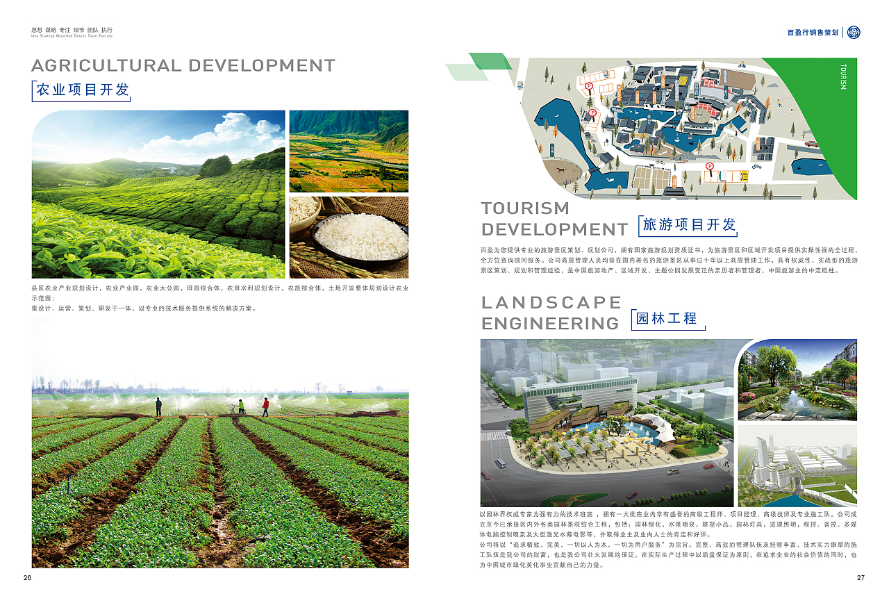 旅游開(kāi)發(fā)項(xiàng)目策劃咨詢 創(chuàng)新策略與視覺(jué)呈現(xiàn)的藝術(shù)